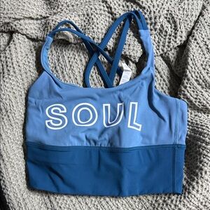 lululemon athletica Blue Sports Bra x SOUL CYCLE